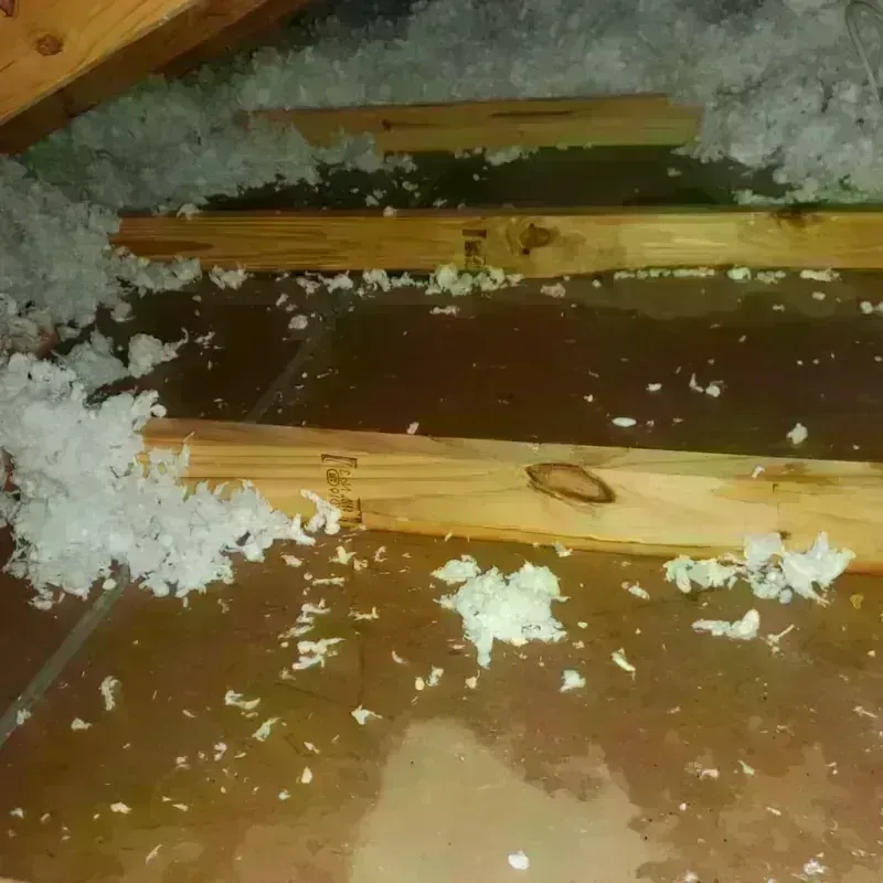 Attic Water Damage in Crystal Lake, CT