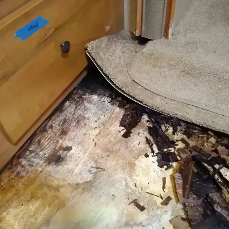 Best Wood Floor Water Damage Service in Crystal Lake, CT